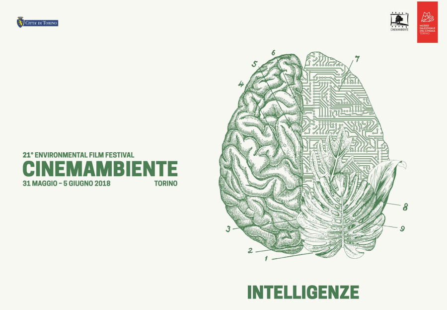 CINEMAMBIENTE MEDIA